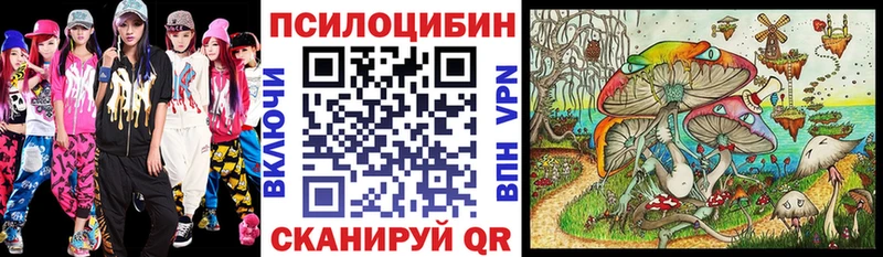 купить   Губкин  Псилоцибиновые грибы прущие грибы 